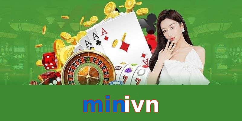 minivn
